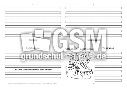 Heuschrecke-Faltbuch-vierseitig.pdf